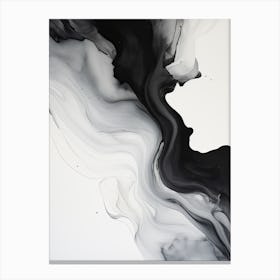 Black And White Flow Asbtract Painting 3 Canvas Print