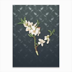 Vintage Almond Tree Flower Botanical on Slate Gray Pattern Canvas Print