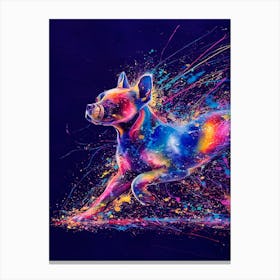 Colorful Frenchie Dog Canvas Print Canvas Print