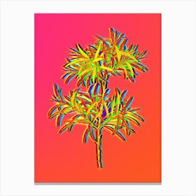 Neon Bitter Willow Botanical in Hot Pink and Electric Blue n.0334 Canvas Print