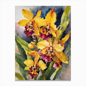 Oncidium Orchids Water Colour 2 Canvas Print