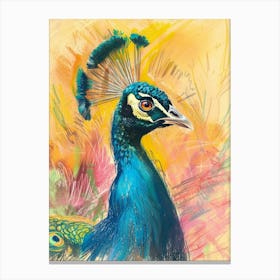 Colourful Peacock Portrait Sketch  3 Canvas Print