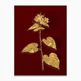 Vintage Morning Glory Flower Botanical in Gold on Red Canvas Print