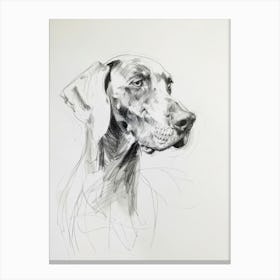Weimaraner Dog Charcoal Line 4 Canvas Print