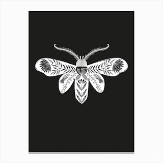Folk Moth Canvas Print