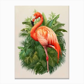 Greater Flamingo Rio Lagartos Yucatan Mexico Tropical Illustration 6 Canvas Print