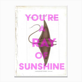 You're A Ray Of Sunshine Vintage Canvas Print