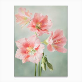 Amaryllis Flowers Acrylic Pastel Colours 4 Canvas Print