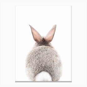 Bunny Tale Canvas Print