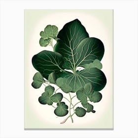 Purslane Leaf Vintage Botanical 1 Canvas Print