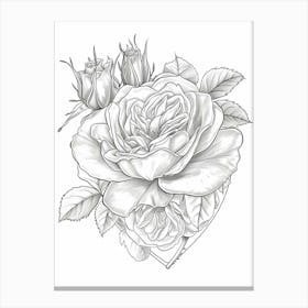 Rose Heart Line Drawing 6 Canvas Print