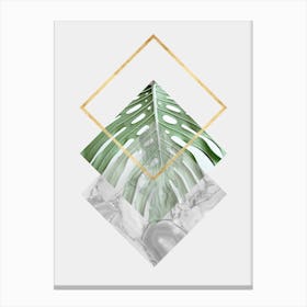 Tropical geometry 5 Canvas Print