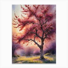 Cherry Blossom Tree 12 Canvas Print