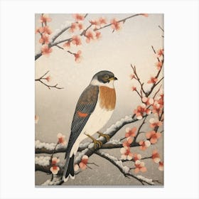 Bird Illustration Eurasian Sparrowhawk 1 Canvas Print