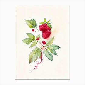 Red Raspberry Herb Minimalist Watercolour 3 Canvas Print