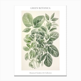 Green Botanica Collection 4 Canvas Print