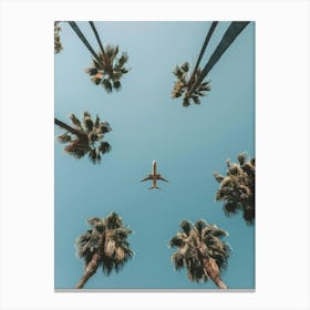 Airplane Flying Over Palm Trees Canvas Print