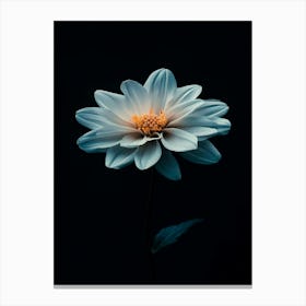 White Dahlia Flower Canvas Print