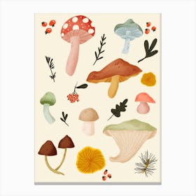 Shrooms And Berries Canvas Print