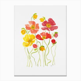 Rainbow Poppies Canvas Print