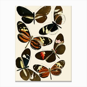 Vintage Butterflies In Flight Canvas Print