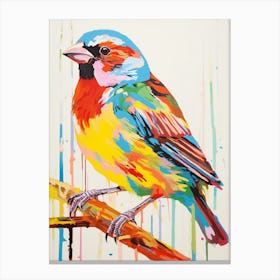 Colourful Bird Painting House Sparrow 1 Canvas Print