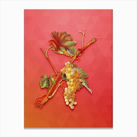 Vintage Vermentino Grapes Botanical Art on Fiery Red n.0173 Canvas Print