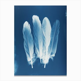 Feathers II Canvas Print