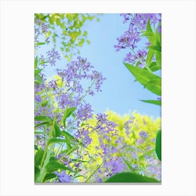 Blue Sky With Purple Flowers Canvas Print