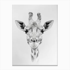 Giraffe Portrait Canvas Print