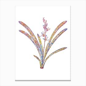 Stained Glass Boat Orchid Mosaic Botanical Illustration on White Canvas Print