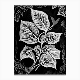 Apple Leaf Linocut 1 Canvas Print