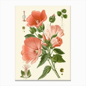 Hollyhocks Canvas Print