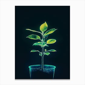 Plant In A Pot 1 Canvas Print