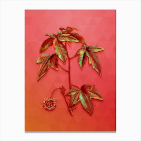 Vintage American Sweetgum Botanical Art on Fiery Red n.0106 Canvas Print