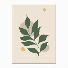 Leaf On A Beige Background Canvas Print