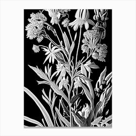 Prairie Milkweed Wildflower Linocut 2 Canvas Print