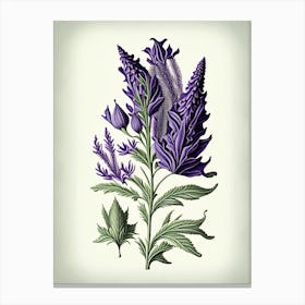 Lavender Leaf Vintage Botanical 2 Canvas Print