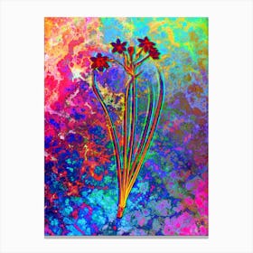 Rush Daffodil Botanical in Acid Neon Pink Green and Blue n.0091 Canvas Print