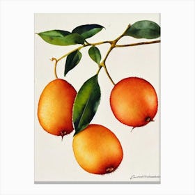 Golden Kiwi Watercolour Fruit Painting Fruit Canvas Print