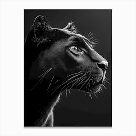 Panther Portrait Canvas Print