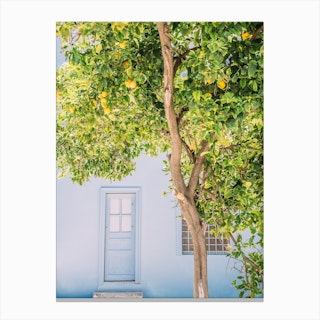 Blue House Lemon Tree Canvas Print