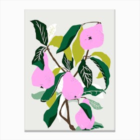 Pears in pink Canvas Print