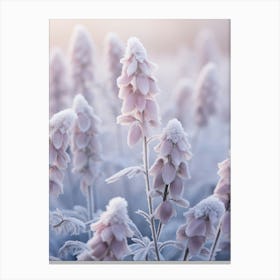 Frosty Botanical Aconitum 3 Canvas Print