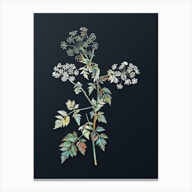Vintage Hemlock Flowers Botanical Watercolor Illustration on Dark Teal Blue n.0455 Canvas Print