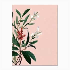 Botanical Background Canvas Print