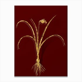 Vintage Brimeura Botanical in Gold on Red n.0171 Canvas Print