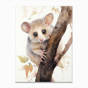 Adorable Chubby Curious Possum 1 Canvas Print