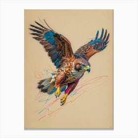 Hawk In Flight 1 Canvas Print