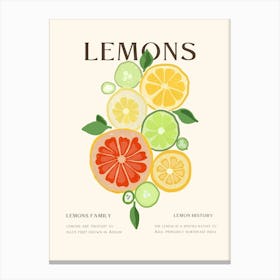 Lemons 3 Canvas Print